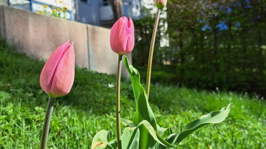 Fototävling 2025 / Emelie Forslöf 