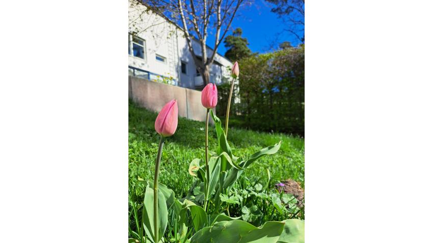 Fototävling 2025 / Emelie Forslöf 